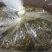 雪菜雪里蕻腌菜咸菜小下饭菜香椿酱外婆菜梅干菜咸菜