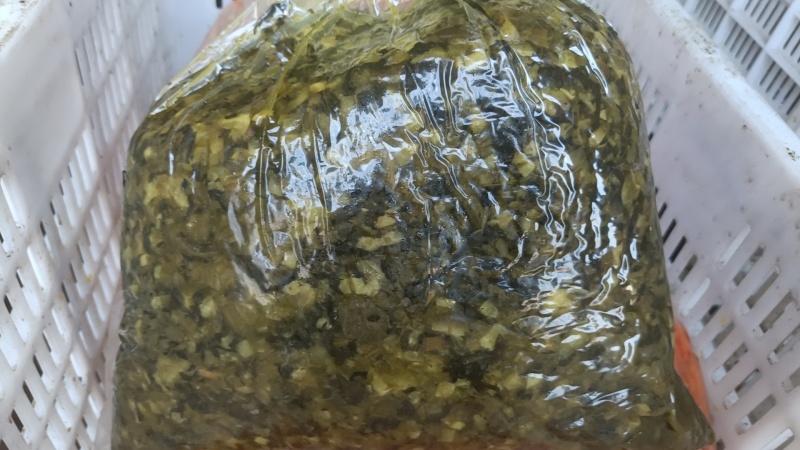 雪菜雪里蕻腌菜咸菜小下饭菜香椿酱外婆菜梅干菜咸菜
