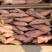 【现挖现发】新鲜烟薯25产地直供严格挑选品质保障