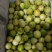 钦密9号百香果