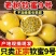 【爆汁香甜】正宗钦蜜9号百香果黄金现摘现发孕妇新鲜应当季