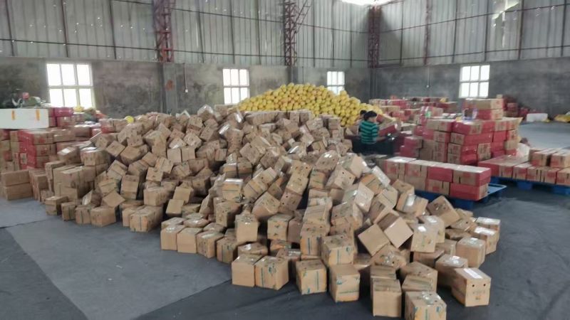精品红心芭乐钻石芭乐，一手货源，品质保证，可对接电商商超等