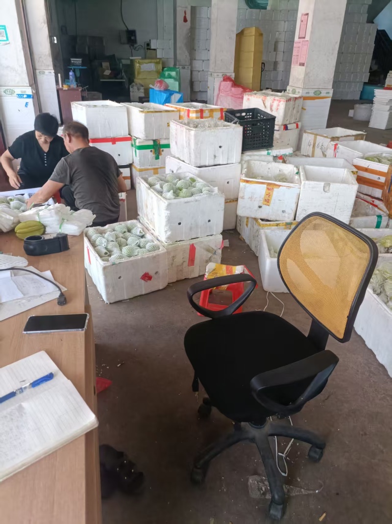 精品红心芭乐钻石芭乐，一手货源，品质保证，可对接电商商超等