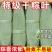 赣南干粽叶