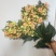 美式复古**仿真花油画玫瑰花束高档装饰假花客厅轻奢ins花束