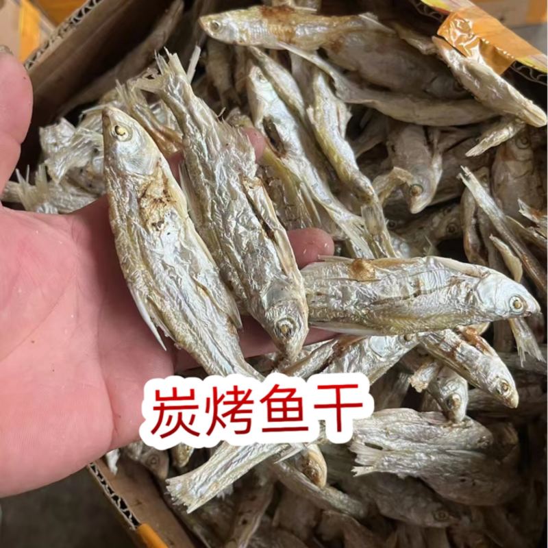 炭烤鱼干地摊电商炭烤鱼干白条白肖翘嘴鱼干干鱼