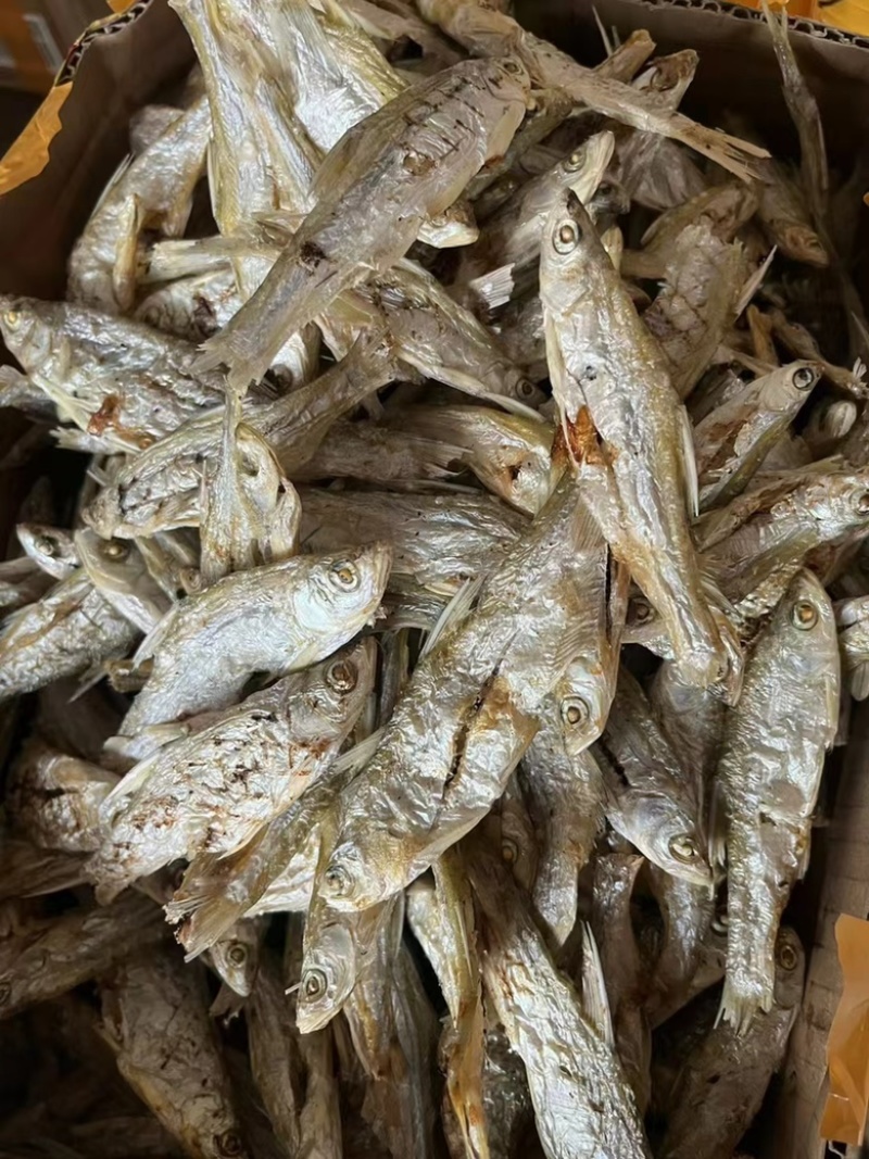 炭烤鱼干地摊电商炭烤鱼干白条白肖翘嘴鱼干干鱼