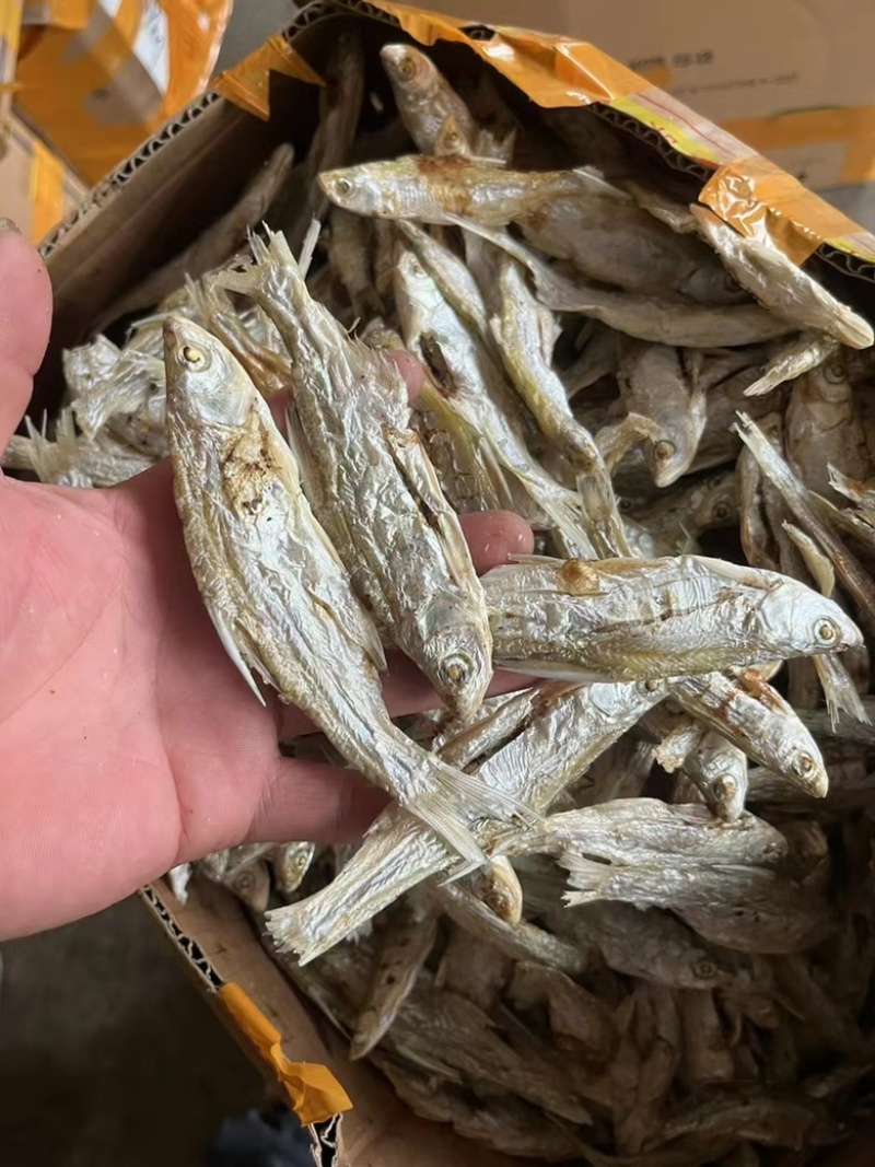 炭烤鱼干地摊电商炭烤鱼干白条白肖翘嘴鱼干干鱼