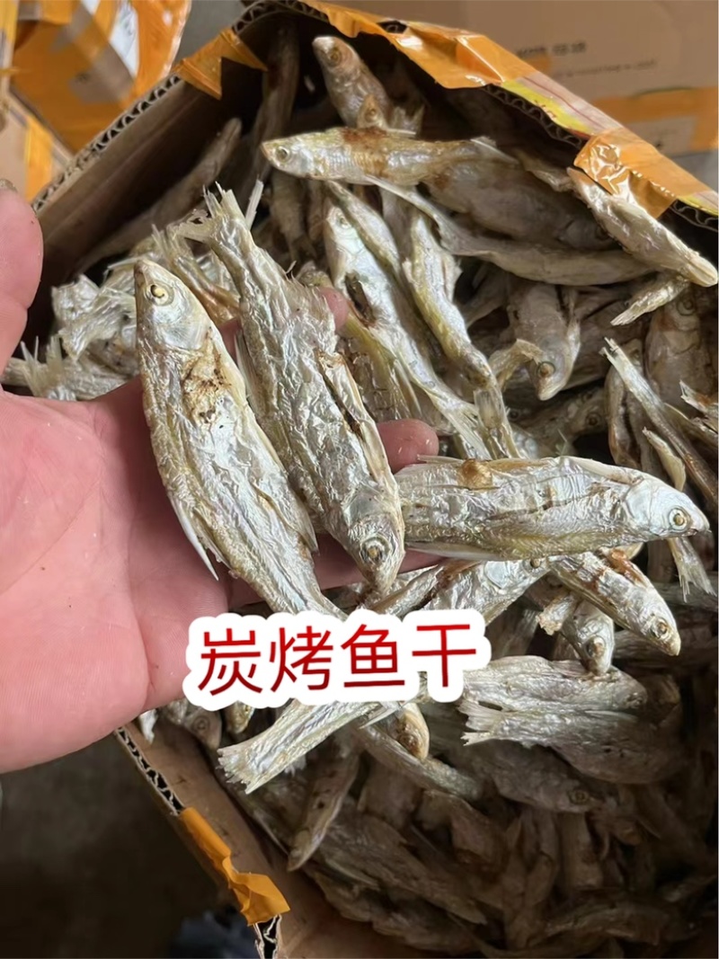 炭烤鱼干地摊电商炭烤鱼干白条白肖翘嘴鱼干干鱼