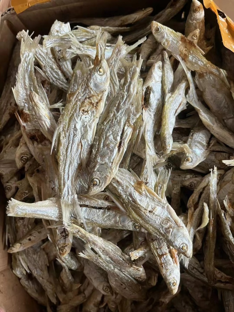 炭烤鱼干地摊电商炭烤鱼干白条白肖翘嘴鱼干干鱼