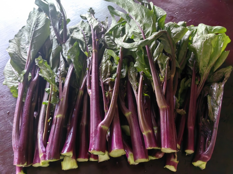 红油菜苔