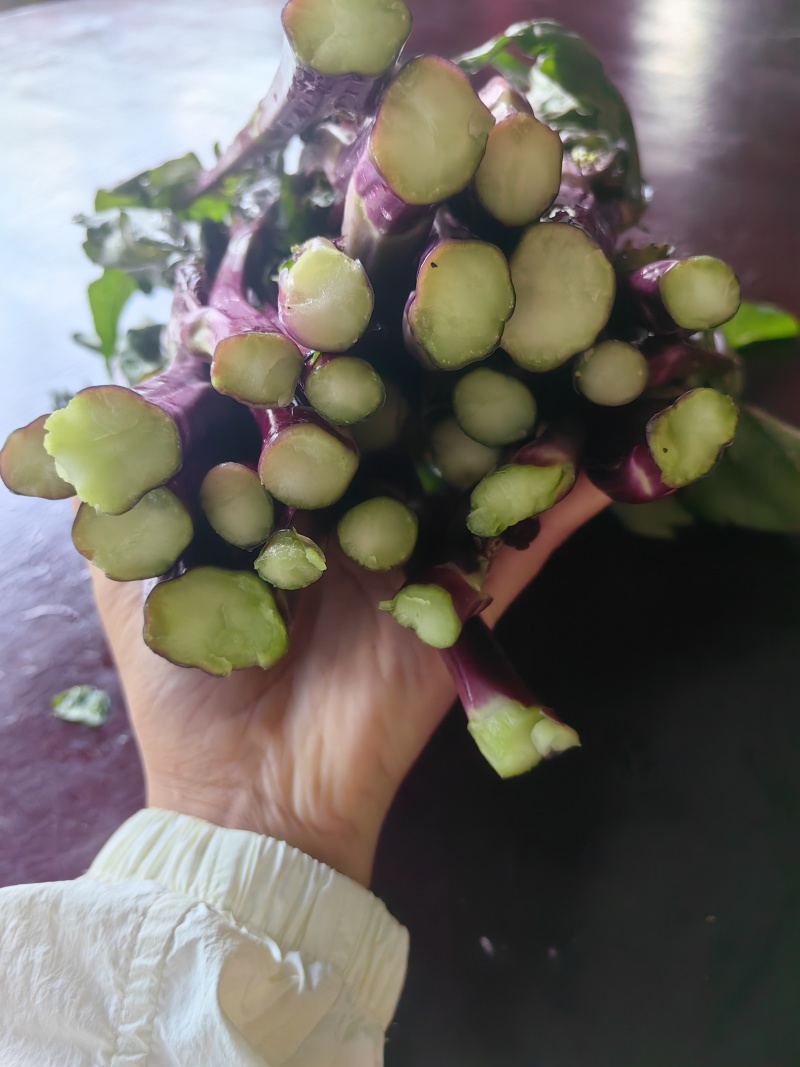 红油菜苔