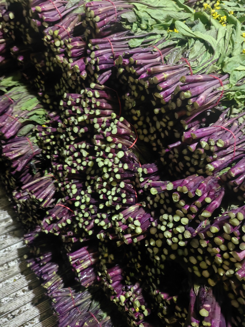 红油菜苔