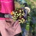 红油菜苔