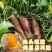 山东烟薯西瓜红薯，303，紫薯电商货一件代发