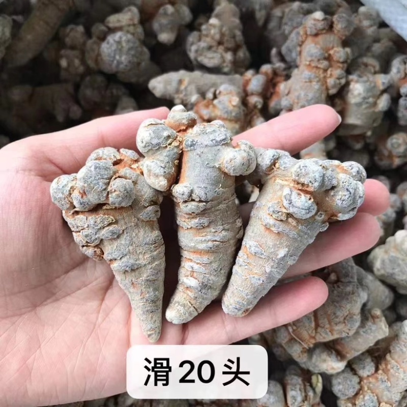 文山三七粉正宗三七20头滑头磨粉三七粉田七粉