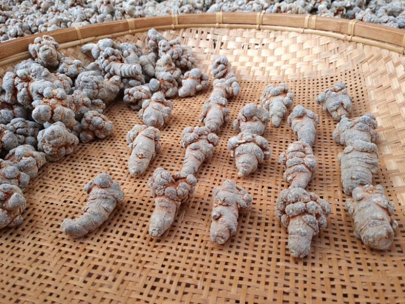 文山三七粉正宗三七20头滑头磨粉三七粉田七粉