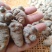 文山三七粉正宗三七20头滑头磨粉三七粉田七粉