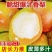 红香酥梨