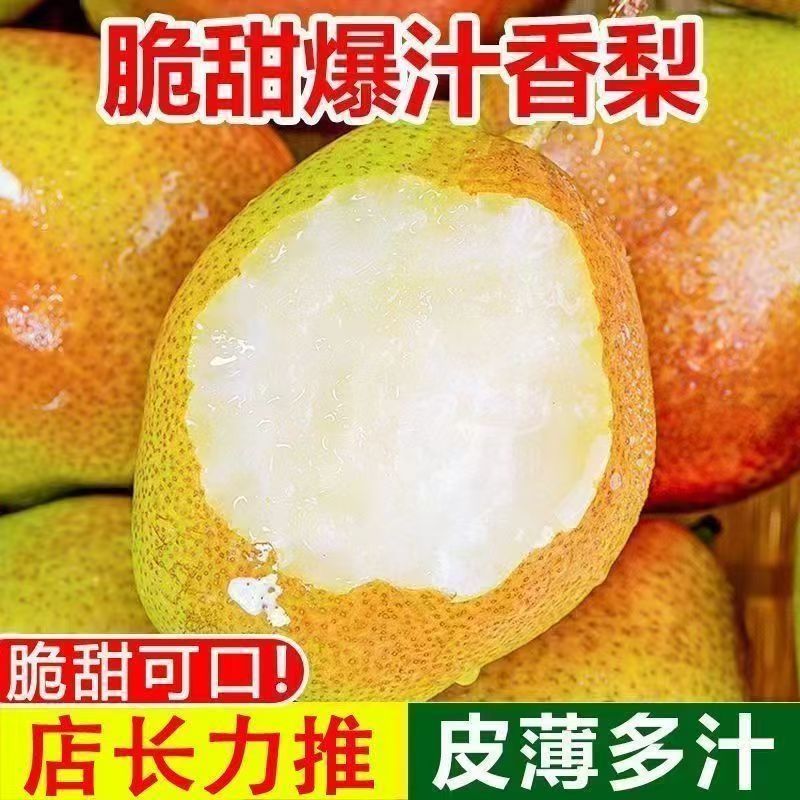 红香酥梨