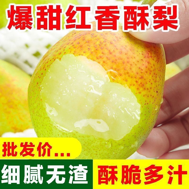红香酥梨