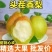 红香酥梨