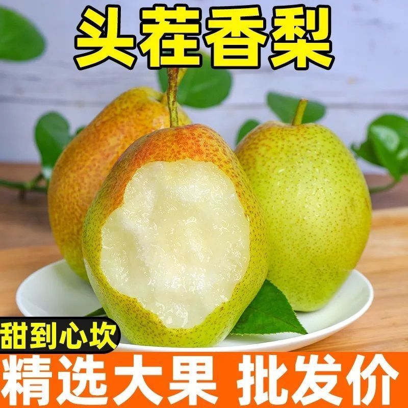红香酥梨