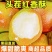 红香酥梨