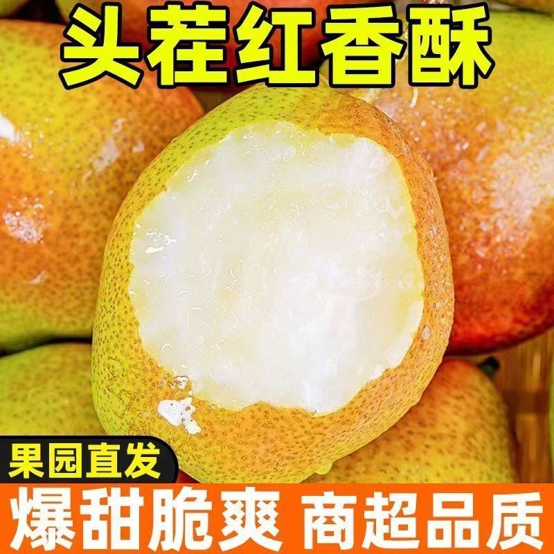 红香酥梨