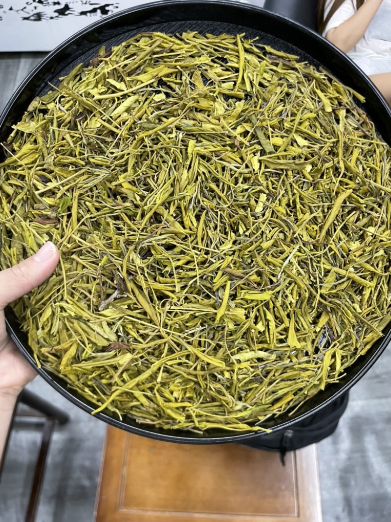 黄金芽