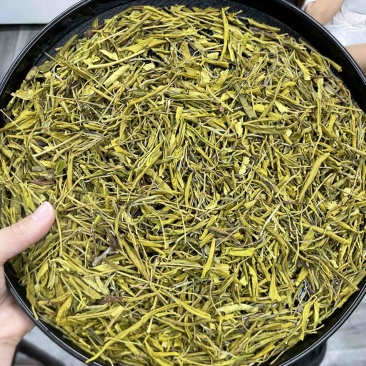 黄金芽