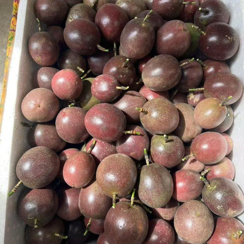 台农一号百香果