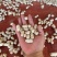 四川新鲜花生金堂红米两粒红机洗红米花生手选花生供应稳定