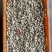 四川新鲜花生金堂红米两粒红机洗红米花生手选花生供应稳定