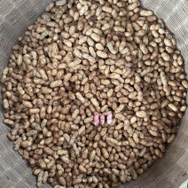 金堂县花生泥花生红米新鲜花生红米花生两粒红产地直发