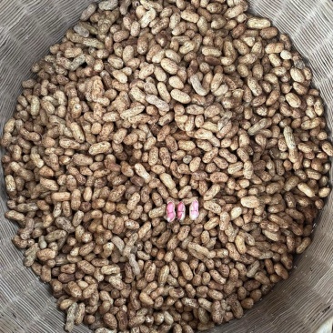 金堂县花生泥花生红米新鲜花生红米花生两粒红产地直发