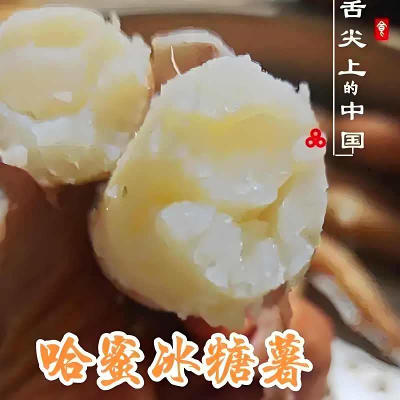 河北哈密红薯长期供应电商，商超，生鲜超市，便利店。