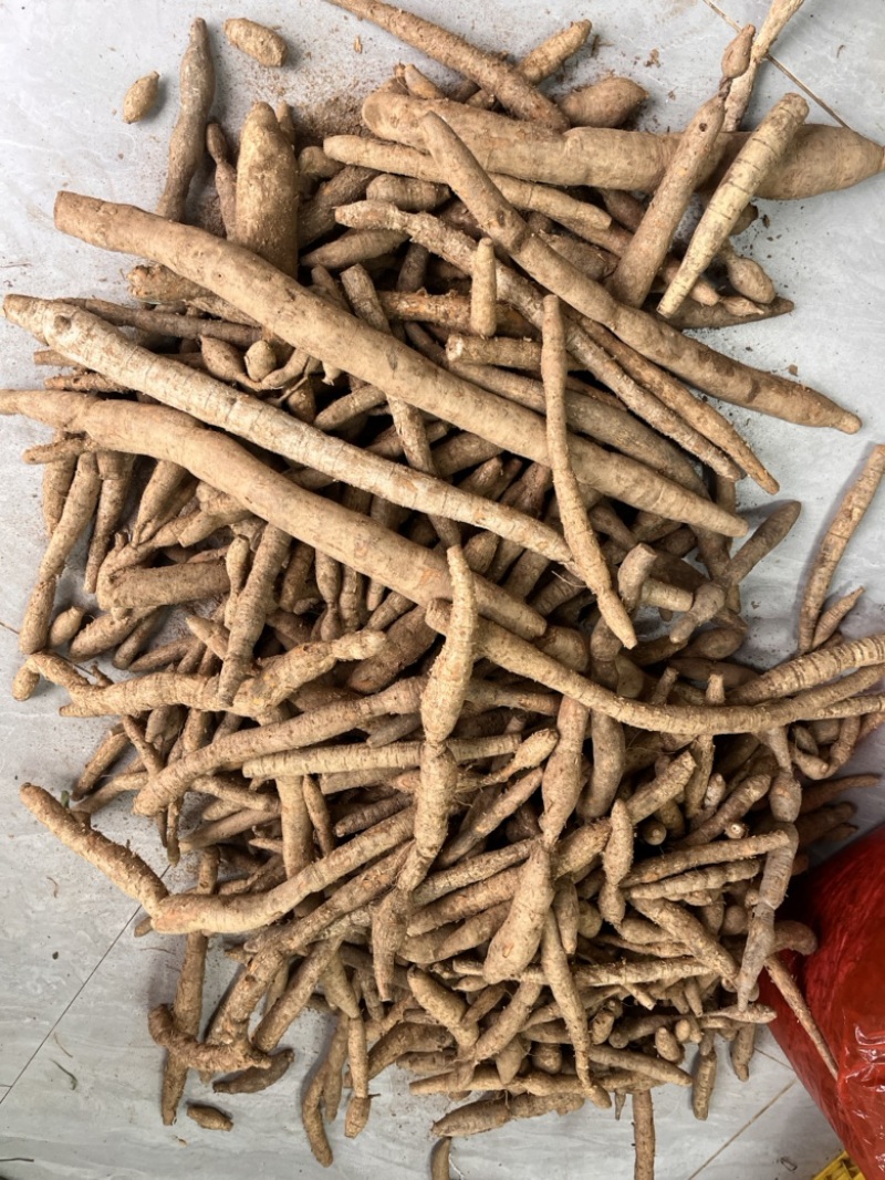 野生牛大力