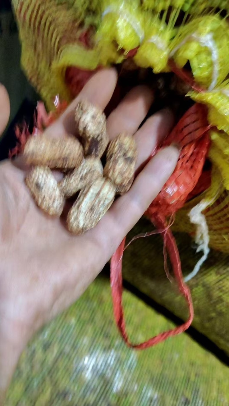 金堂县花生泥花生红米新鲜花生红米花生两粒红产地直发