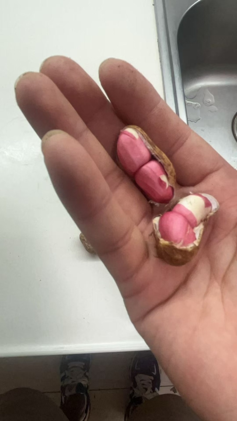 金堂县花生泥花生红米新鲜花生红米花生两粒红产地直发