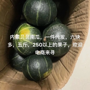 贝贝南瓜一件代发