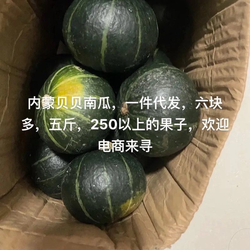 贝贝南瓜一件代发
