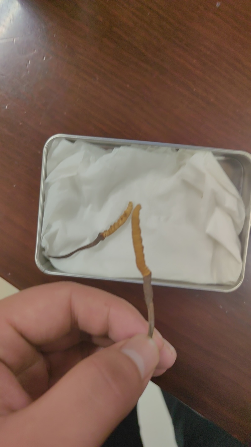 量大从优只选原产地虫草品质保证健康**