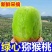 鲜甜大果绿心猕猴桃正宗奇异果批发价新鲜孕妇当季水果一整箱