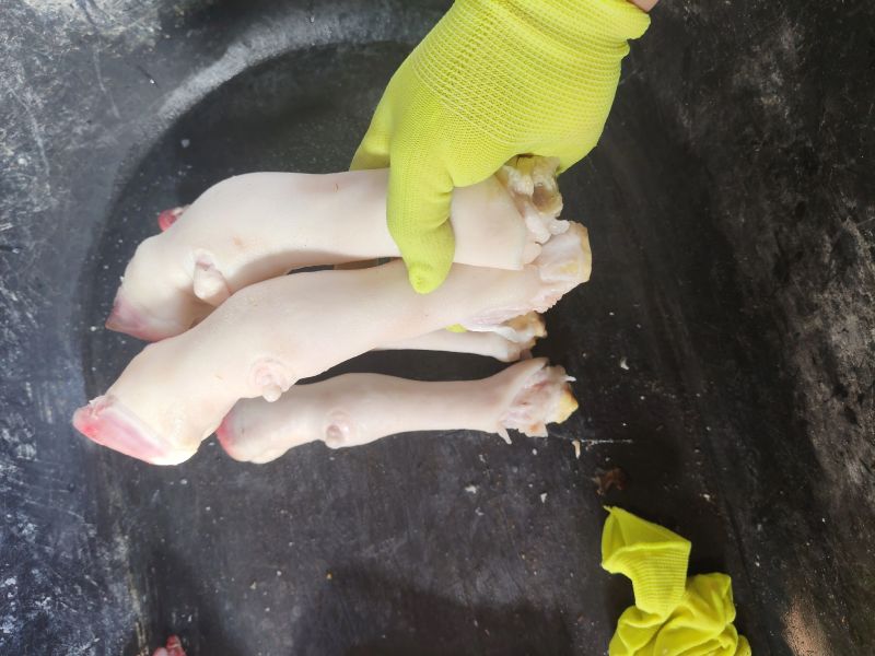 育肥齐口羊蹄不抽筋的一斤2个4-5两的，厂家一手货源