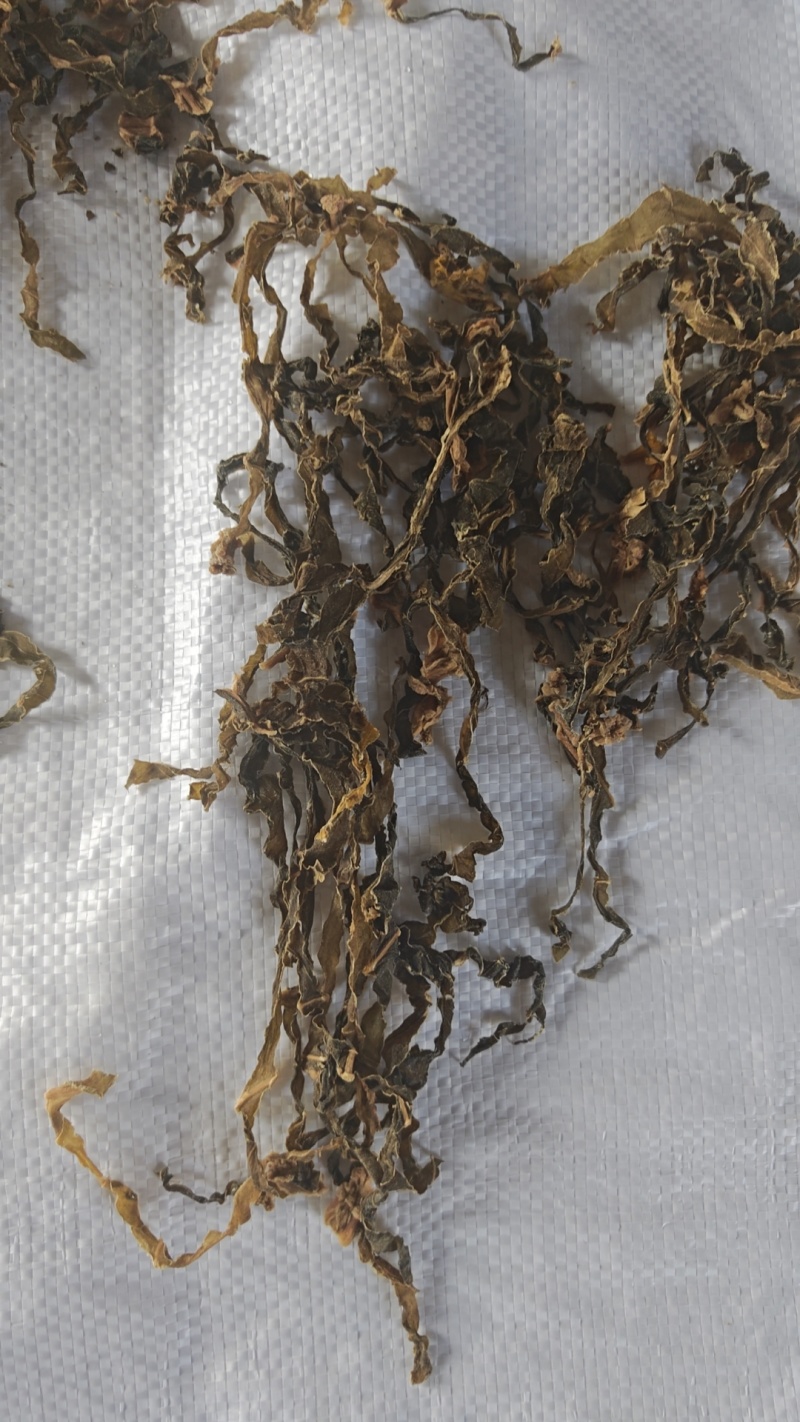 【厂家直供】梅干菜常年稳定供应现货批发欢迎来电咨询