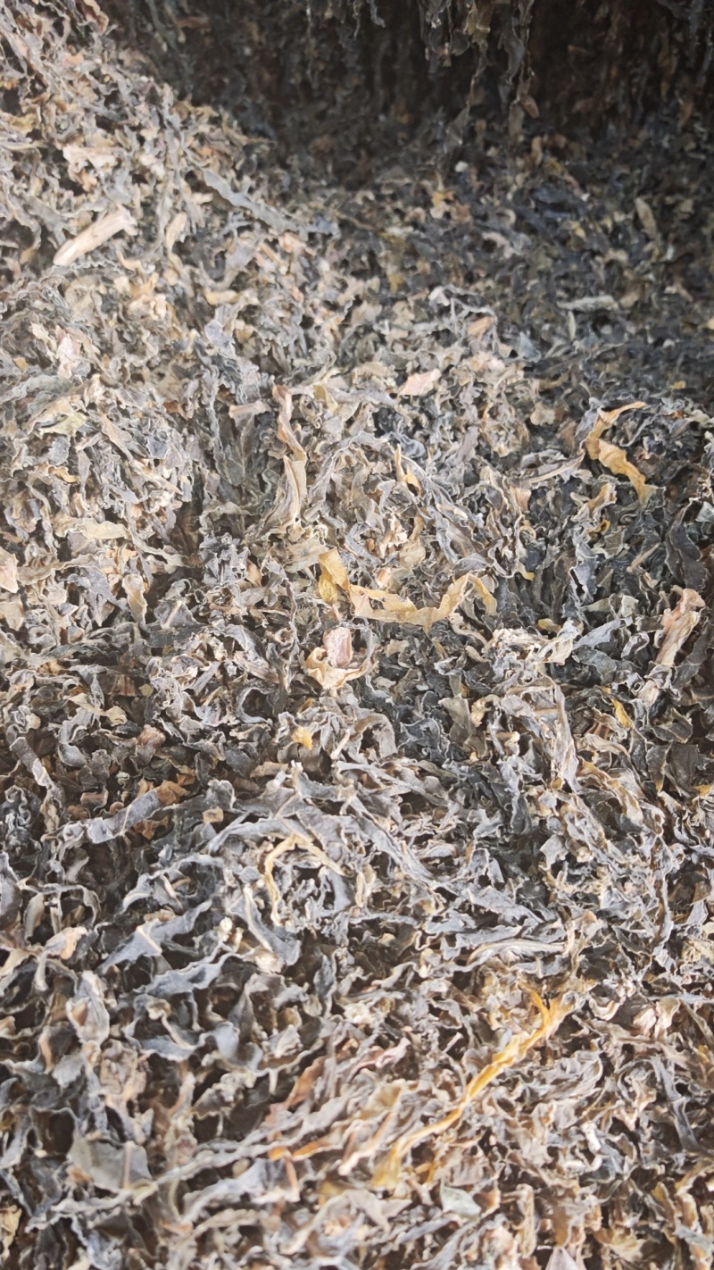 【厂家直供】梅干菜常年稳定供应现货批发欢迎来电咨询
