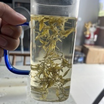 永顺莓茶