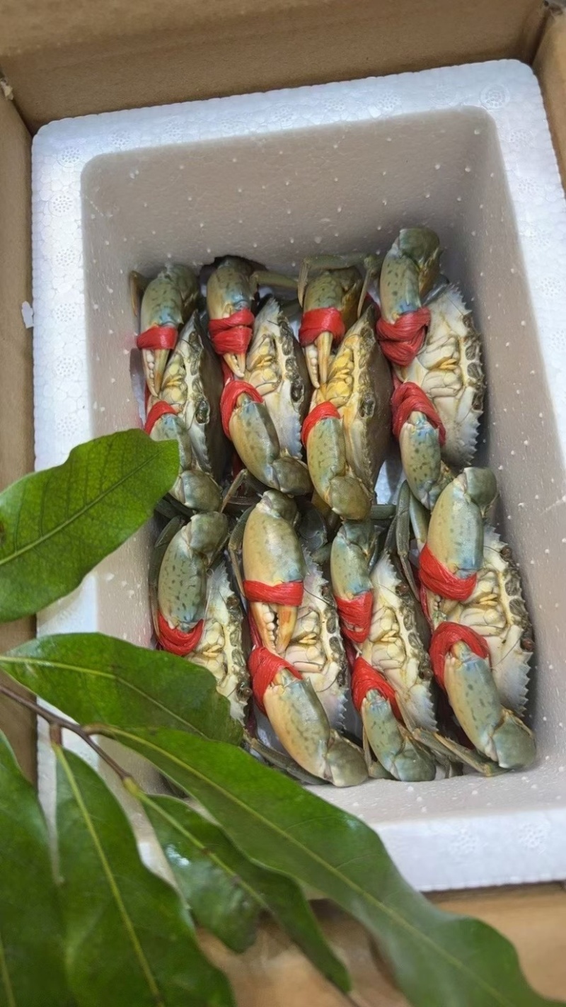当季菜蟹，量大管饱，一手货源，自产自销