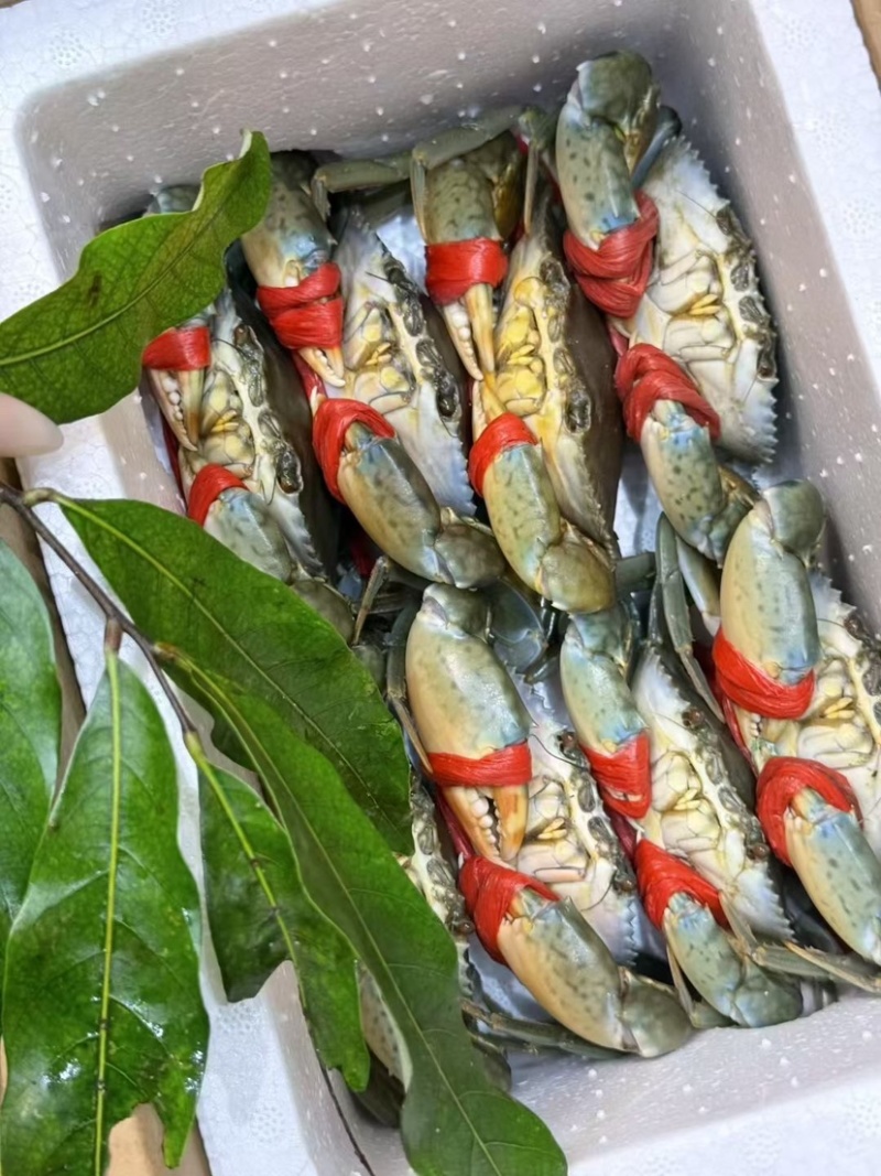当季菜蟹，量大管饱，一手货源，自产自销